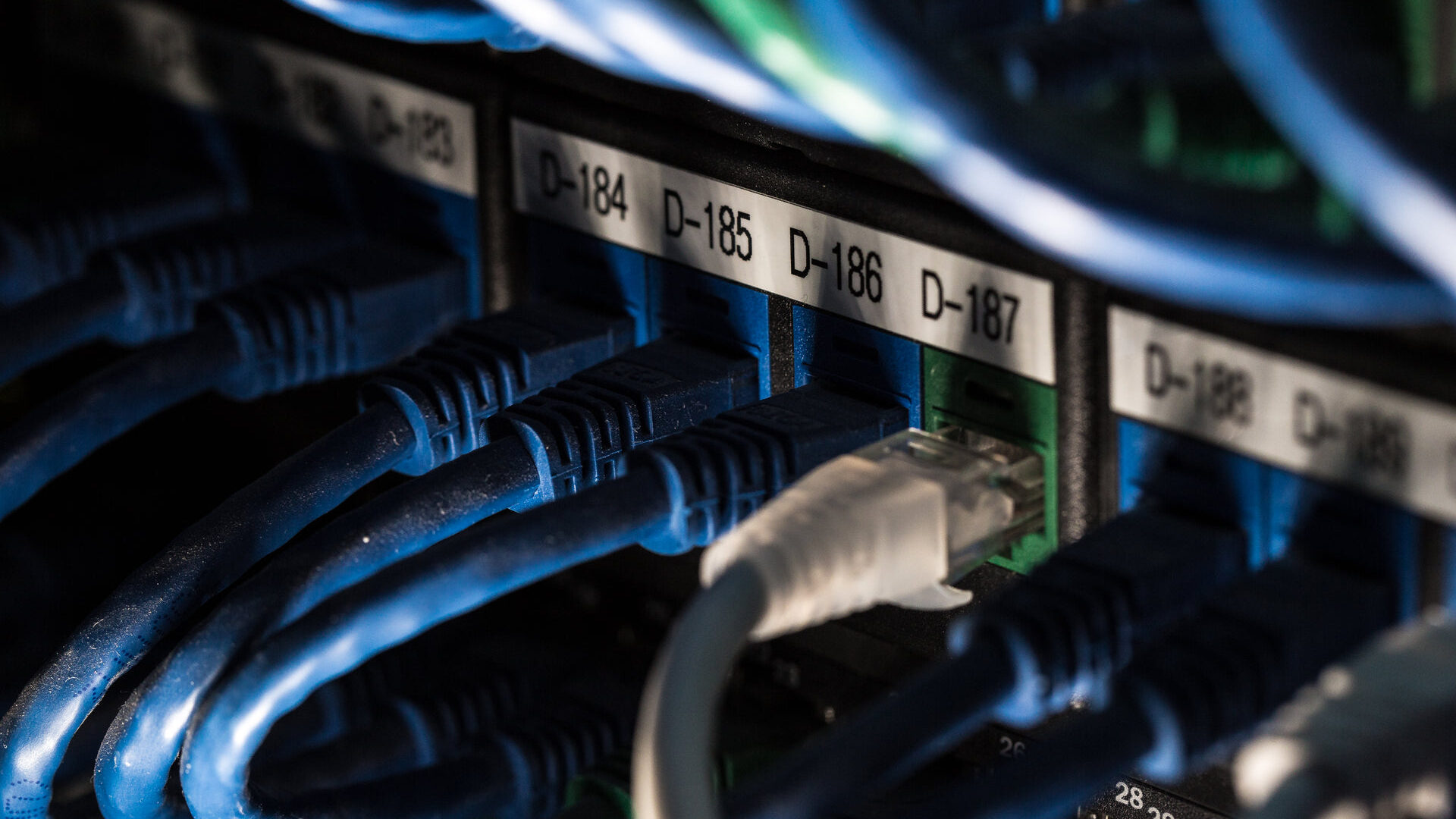 Network cables plugged into the numbered ports of a server.