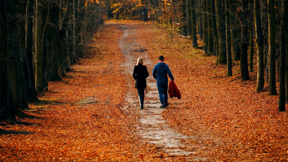 Cuplu care face o plimbare în pădure, cu telefoanele în rucsac, într-un weekend de detox digital